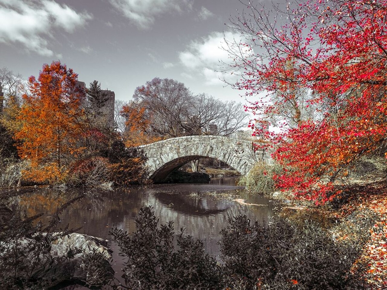 Gapstow Bridge In The Autumn, Central Park, New York Poster Print by Assaf Frank - Item # VARPDXAF201311191395